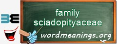 WordMeaning blackboard for family sciadopityaceae